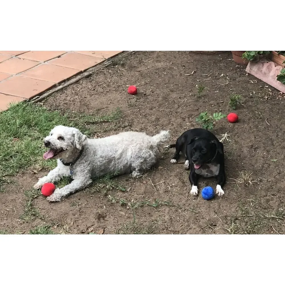 12 Pack Plush Squeaky Balls for Small Dogs or Cats - Red, Yellow, Blue